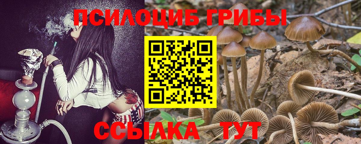 Псилоцибиновые грибы Magic Shrooms Владивосток