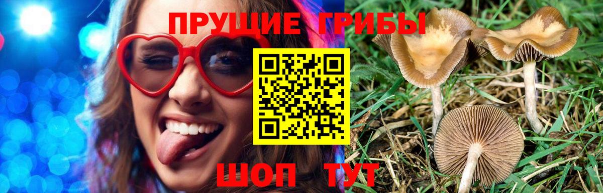 Галлюциногенные грибы мухоморы  Вход с VPN  Галлюциногенные грибы прущие грибы  Владивосток 